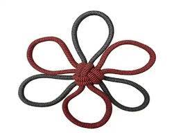 بومرنگ طنابی زاریکس